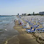 Dream In Sunny Kosharitsa
