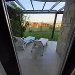 Dream In Sunny Kosharitsa
