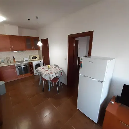 Dream In Sunny 科沙利萨