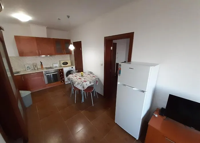 Dream In Sunny 科沙利萨