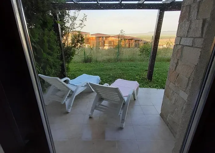 Dream In Sunny 科沙利萨